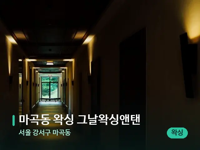 서울 강서구 마곡동 마곡동 왁싱 그날왁싱앤탠 — 데이 스파 인테리어