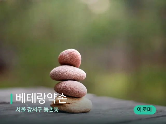 서울 강서구 등촌동 베테랑약손 — 핫스톤을 올린 관리 장면