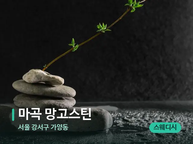 서울 강서구 가양동 마곡 망고스틴 — 핫스톤을 올린 관리 장면
