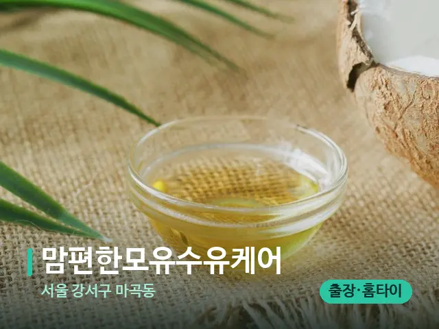 서울 강서구 마곡동 맘편한모유수유케어 — 마사지 오일과 도구