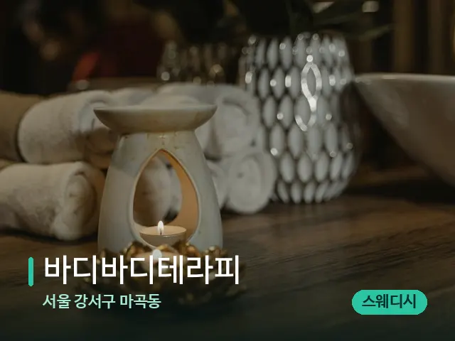 서울 강서구 마곡동 바디바디테라피 — 스파 마사지 베드